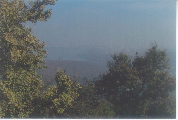 （《古运回望图》创作采风图片，企业供图，央广网发）