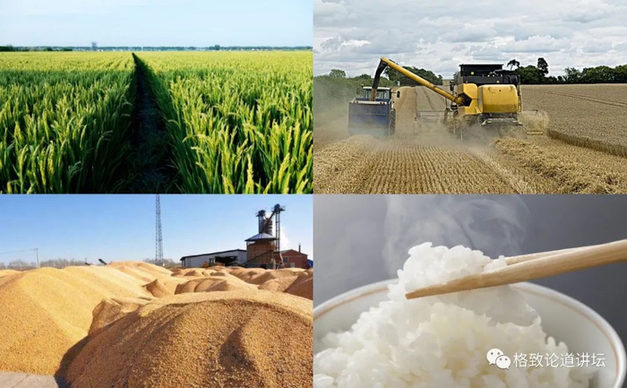▲ 东北粮仓占全国耕地20%、全国粮食产量25%、全国粮食供应33%。