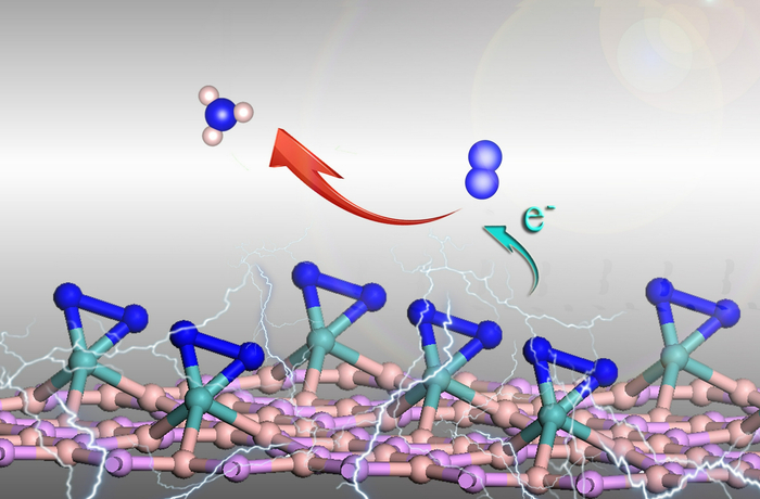新型Mo/BP电催化剂用于氮气还原合成氨的示意图，南工大供图