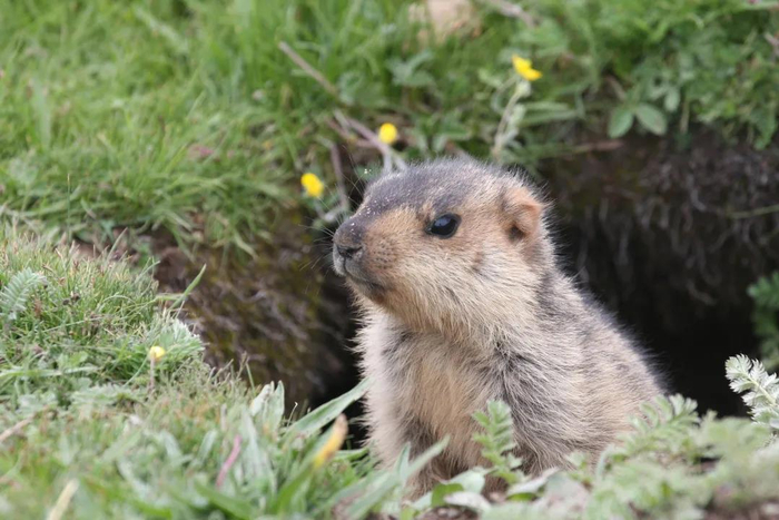图片来自陕西疾控微信公众号
