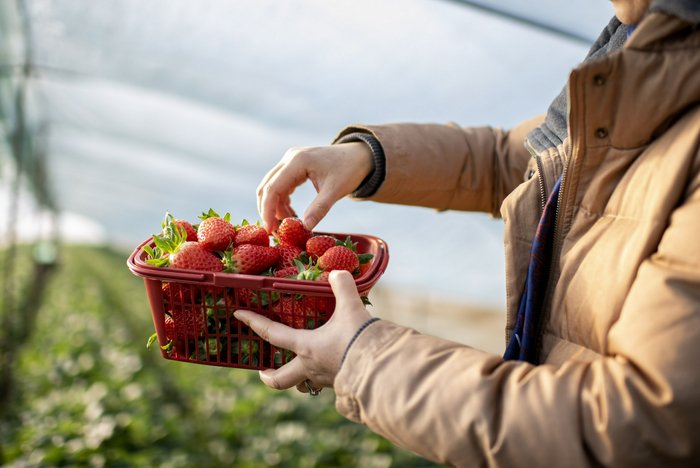 图片来自IC photo