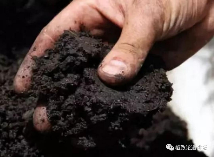 ▲ 有机质是土壤核心组分，是黑金