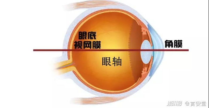                                            （图源网络：侵删）