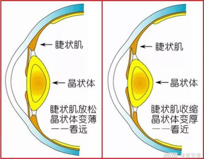                                           （图源网络：侵删）