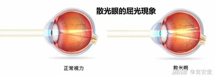                                          （图源网络：侵删）