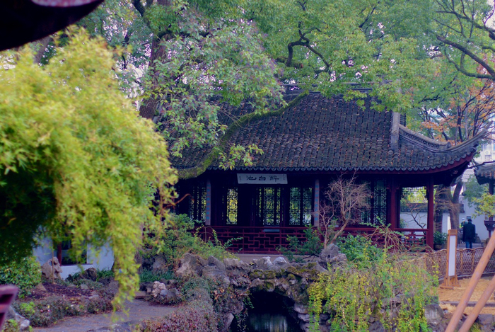 醉白池 冬影 本文图片除标注外均为 澎湃新闻记者 朱喆 图