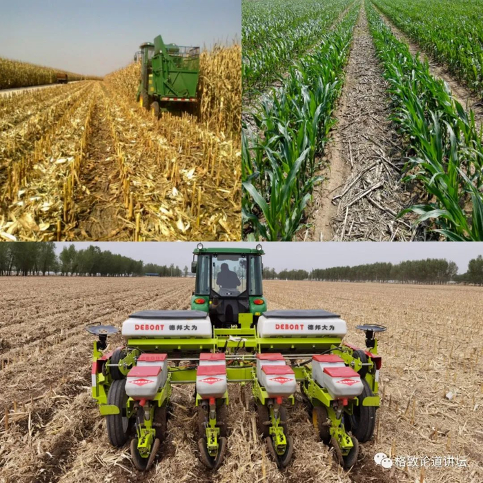 ▲ 地表盖被——有机残体输入