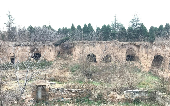 ▲12月9日，洛阳市盘龙冢村，村内窑洞早已长满杂草。宋彦庆曾涉嫌将他人非法拘禁在窑洞。新京报记者 聂辉 摄
