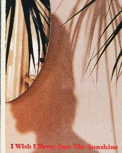 《我希望我从未见过阳光》