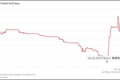 土耳其里拉年内暴跌66%，欧洲“穷国”游客前来扫货