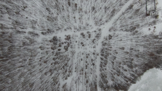 长白山腹地，冬季白雪茫茫。