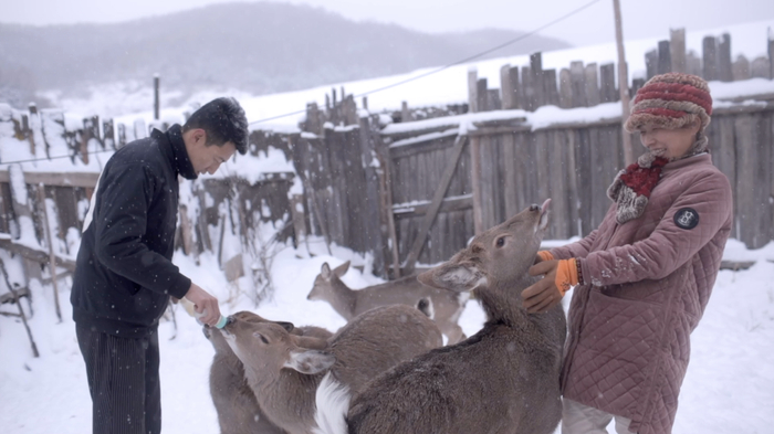 李天宇在鹿场。