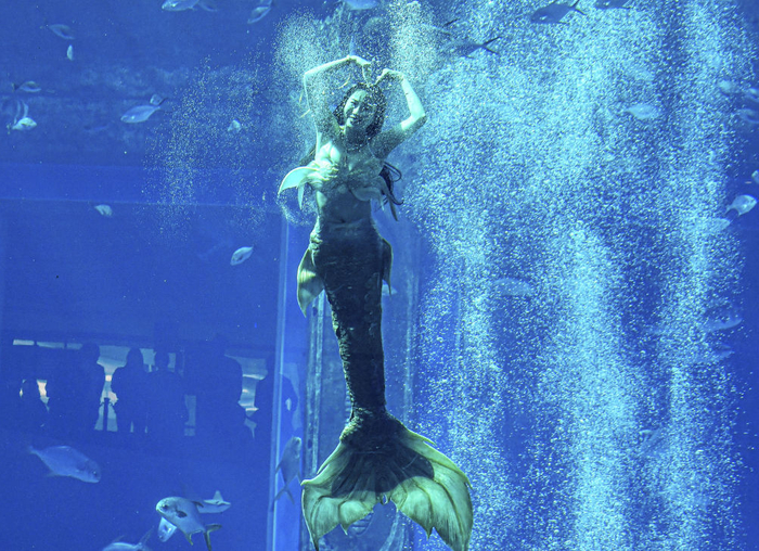 12月22日，首届中国美人鱼表演赛参赛选手在比赛中。