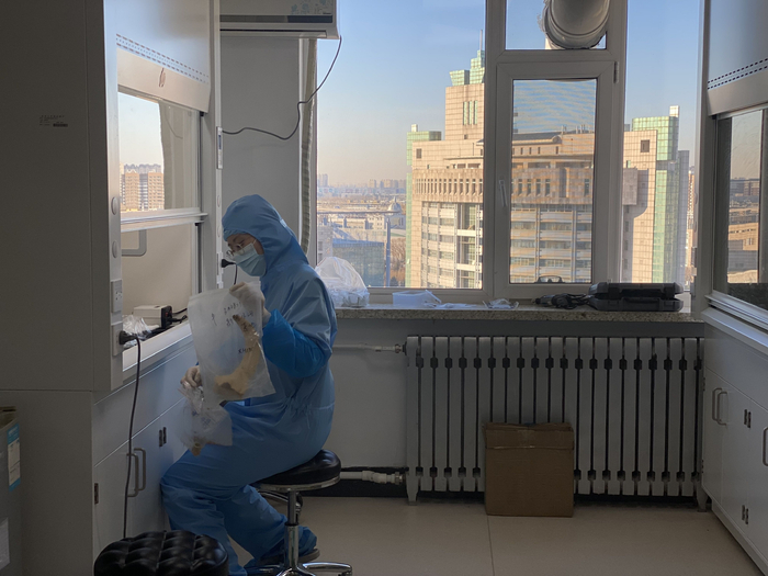 吉林大学考古学院博士研究生张乃凡换上连体防护服，端着一盆古动物材料，里面有一根粗壮弯曲的来自小河墓地的牛角。新京报记者 陈杰 摄