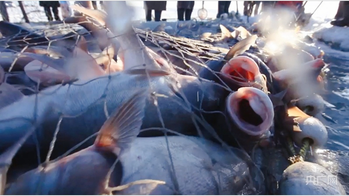 （央广网记者 郭东隅摄）