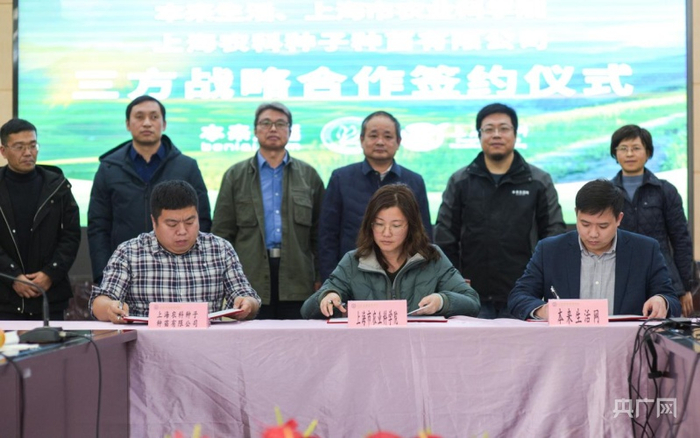 本来生活与上海市农业科学院、上海农科种子种苗有限公司签署战略合作（央广网发 受访者供图）