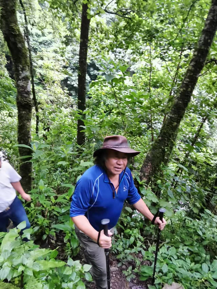 2021年9月，费宣进入哀牢山看古茶树。受访者供图