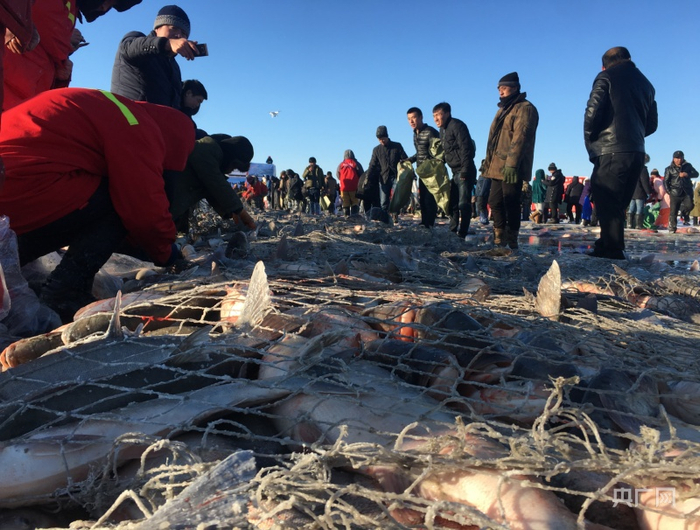 （央广网记者 郭东隅摄）