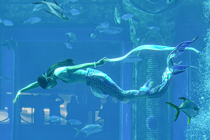 12月22日，首届中国美人鱼表演赛参赛选手在比赛中。