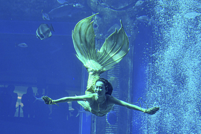 12月22日，首届中国美人鱼表演赛参赛选手在比赛中。