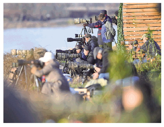 摄影爱好者在南昌高新区五星白鹤保护小区拍摄候鸟（2020年12月21日摄）。新华社记者万象摄