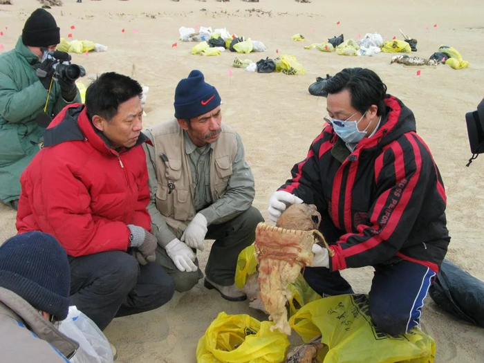 ▲伊弟利斯（图中），朱泓（图右）在小河遗址进行考古挖掘工作。受访者供图