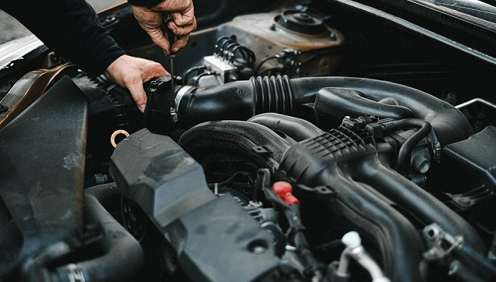 图片来源：pexels-Anna Shvets