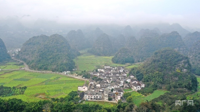万峰林景色（央广网发 刘朝富 摄）