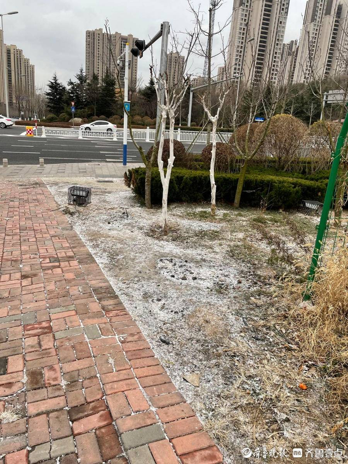 今冬首次飘雪!青岛多地发布道路结冰黄色预警