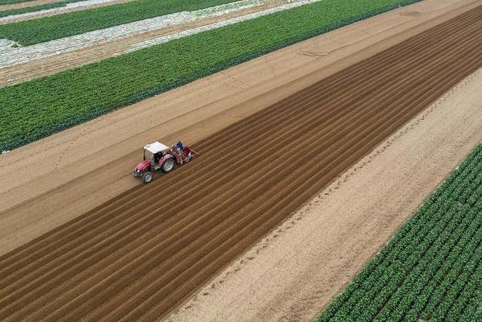 图为：云梦菜农耕种新一季蔬菜央广网发 通讯员陈志勇 摄
