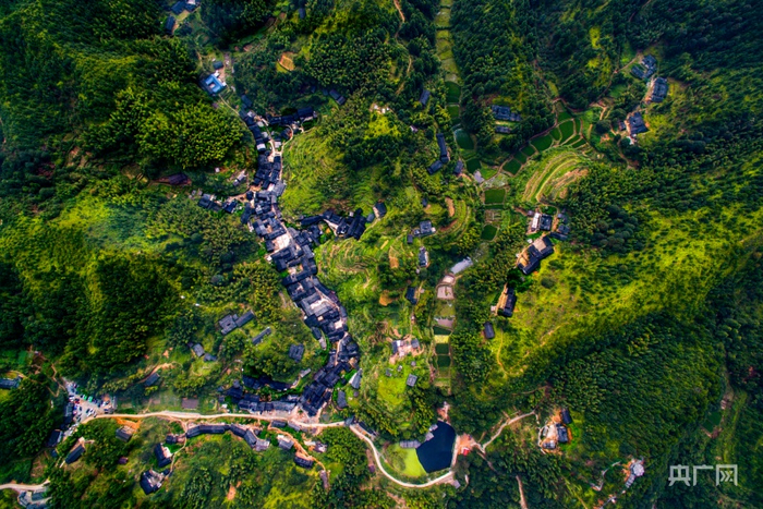 青山掩映中的丁屋岭（央广网发 丁黄村党支部供图）