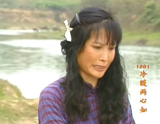 九十年代广东电视台制作的那些乡土剧,它们都是广东人满满的回忆