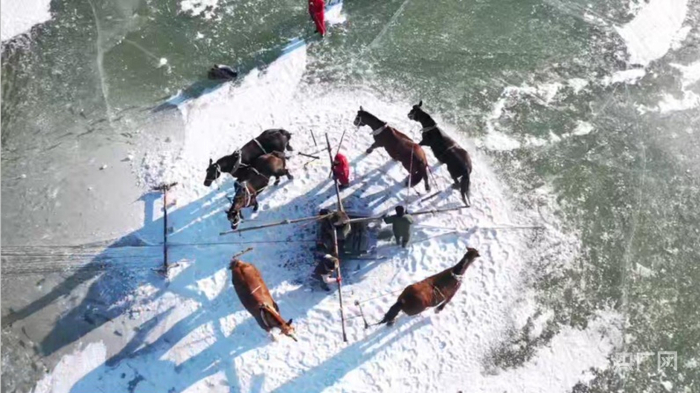 央广网记者 郭东隅摄