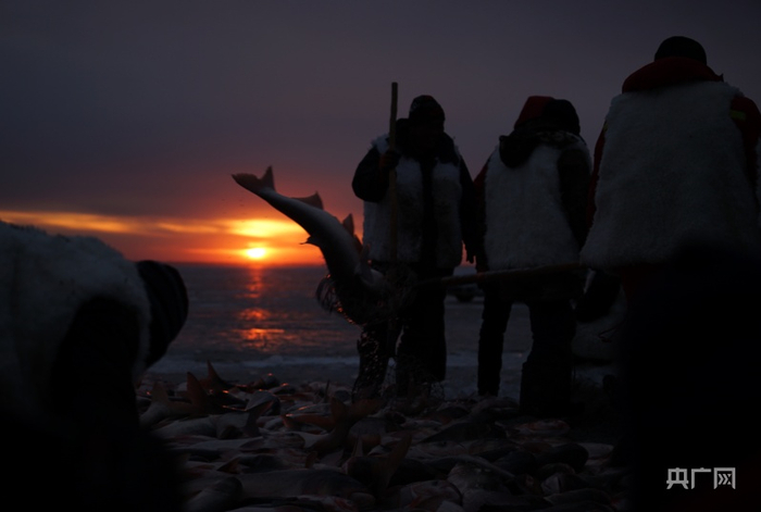 央广网记者 郭东隅摄