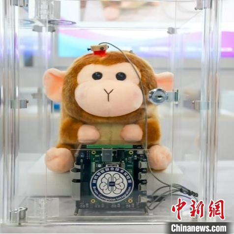 宽带植入式脑机接口系统 深圳先进院 供图