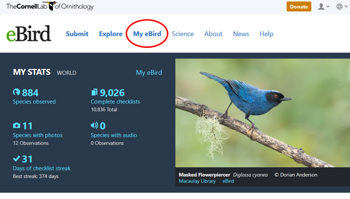 通过eBird，个人可以上传自己的鸟类观察记录。