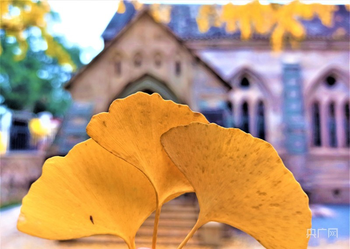 一个转角，一个回眸，邂逅古厝和古树的百年之约（央广网记者 罗晓英摄）