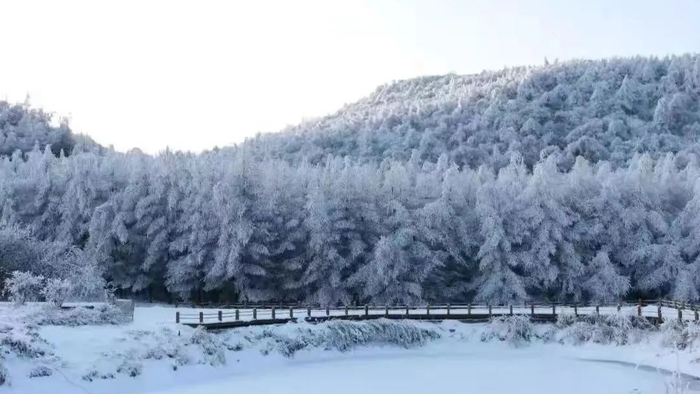 茅草坝滑雪场（央广网发 重庆市地理信息和遥感应用中心供图）