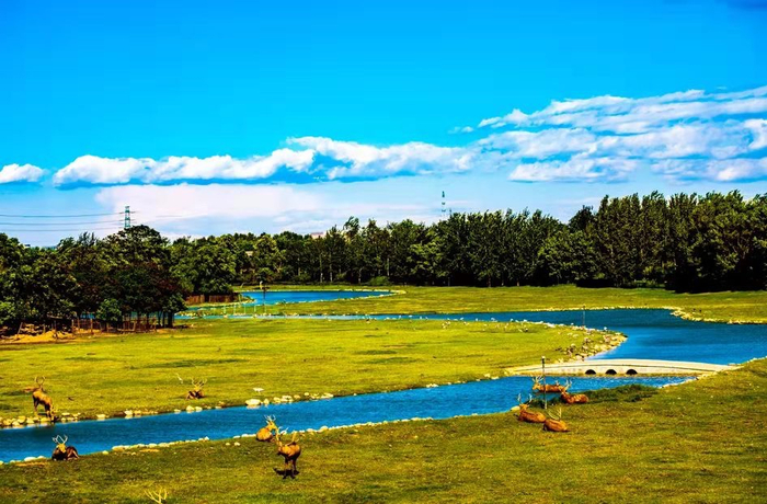 配图：南海子公园