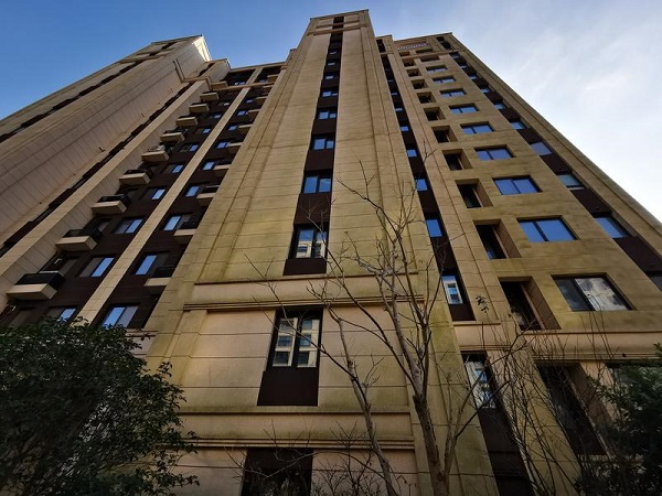 图说：苔藓孢子随风吹落高处，附着建筑外立面真石漆上 摄影：王军（下同）