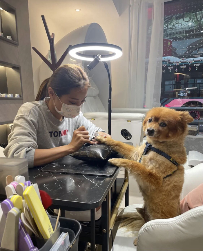 图片来源：大众点评@YU**CHEN-KK