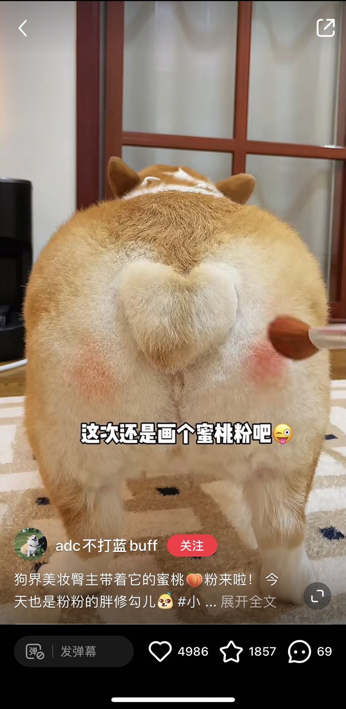 图片来源：小红书