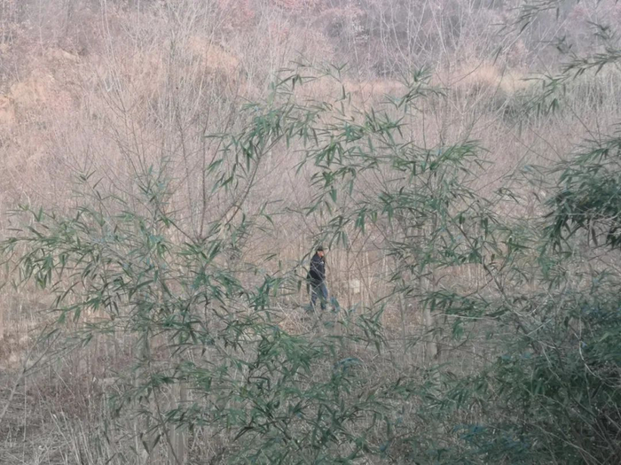 12月13日，梁飞在随县山中猎陨。新京报记者 李冰洁 摄