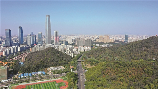 东莞加快推动高质量发展