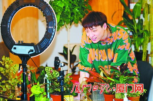 在海沧区淘宝福建绿植花卉产业带大楼内，直播人员正忙着推销绿植。