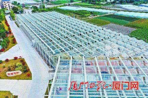 同安闽台农业融合发展产业园里，智能化玻璃大棚蔚为壮观。