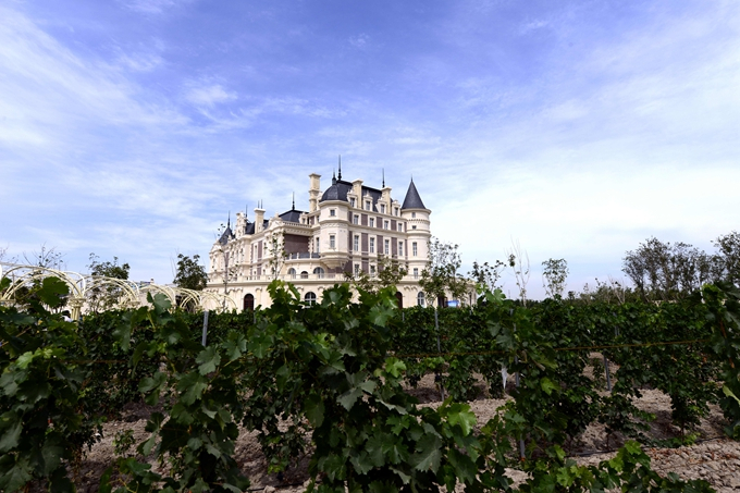 新疆张裕巴保男爵酒庄获得CQC有机产品认证