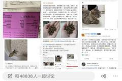 go！猫粮可致宠物死亡？代理商回应