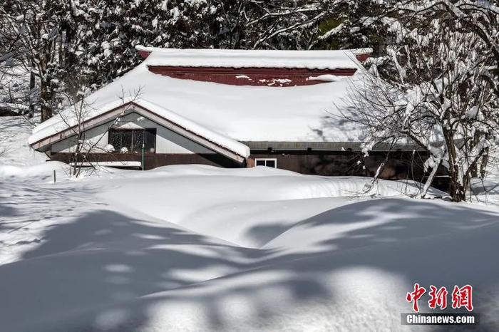 图片来源：视觉中国