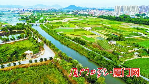 厦门市高质量实施乡村振兴战略，推动乡村振兴质量更高、成色更足，形成农业强、农村美、农民富的农业农村发展新格局。图为集美许溪灌口段。